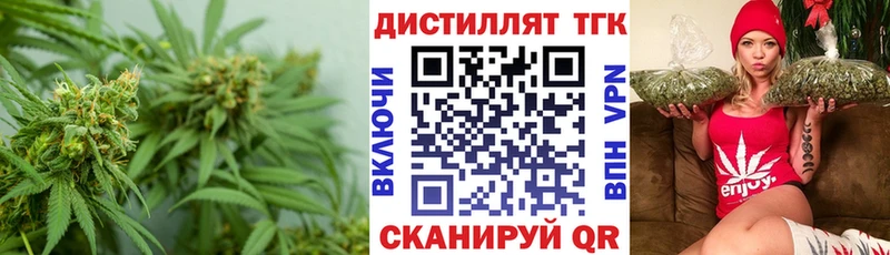 Купить где  Медвежьегорск  ТГК концентрат 
